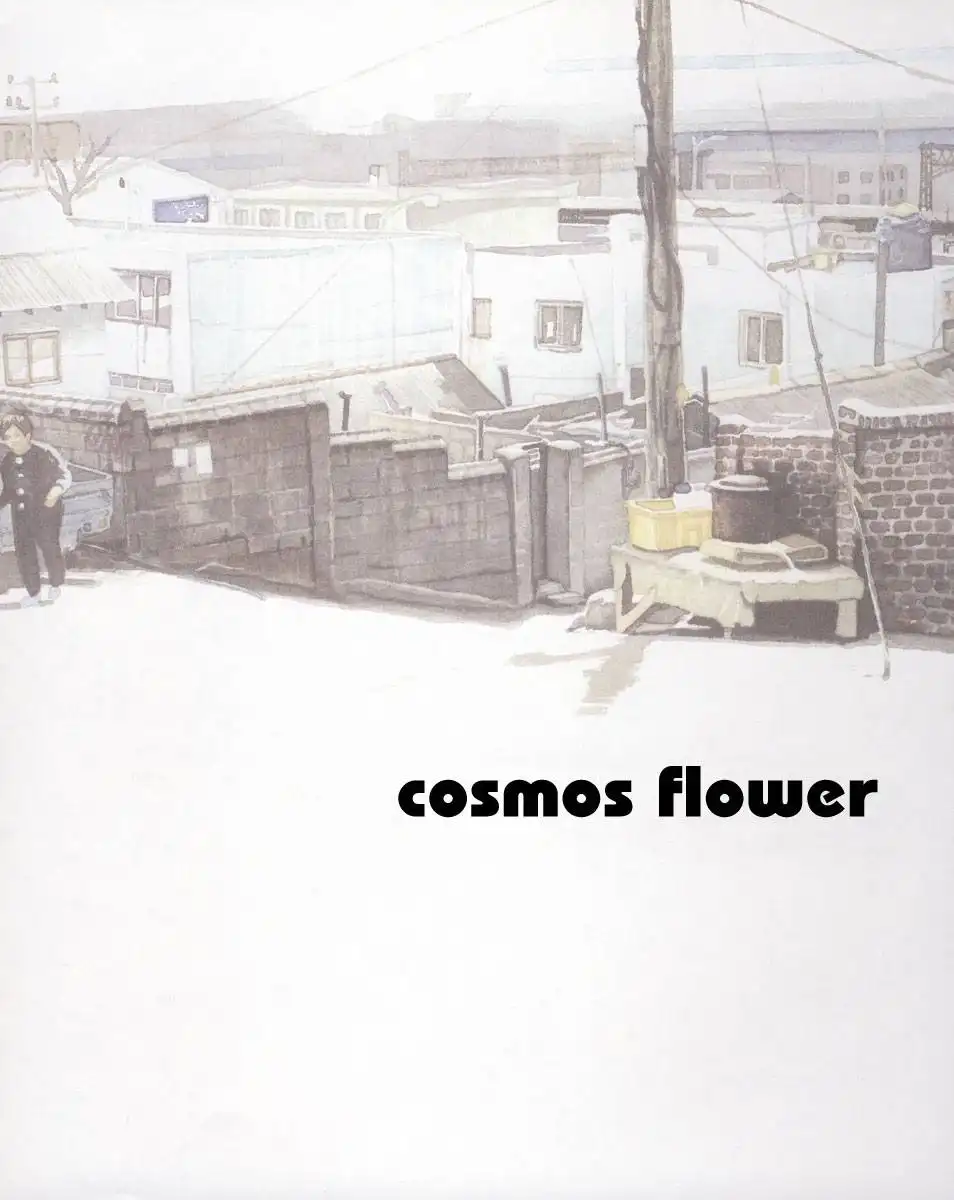 Cosmos Flower Chapter 1 11